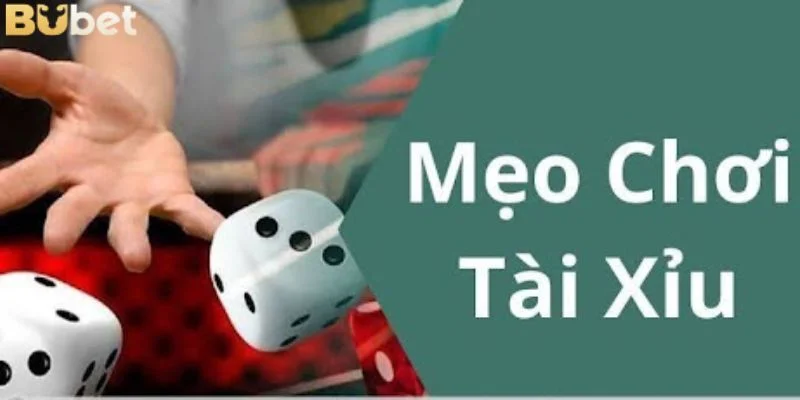 Mẹo Đánh Tài Xỉu Online: Bí Kíp Đặt Đâu Trúng Đó Từ Cao Thủ