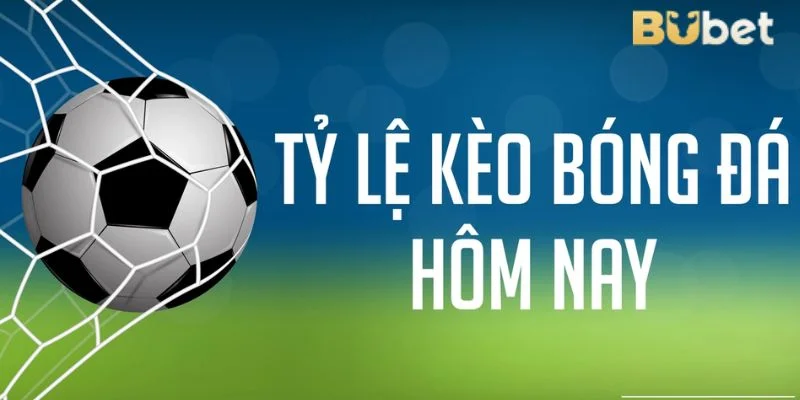 Hiểu Gì Về Tỷ Lệ Kèo Nhà Cái Hôm Nay - Mẹo Soi Kèo BUBET