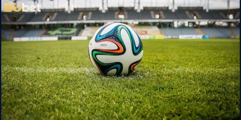 Tỷ lệ kèo nhà cái hôm nay là thông số rất quan trọng, cần nắm vững.